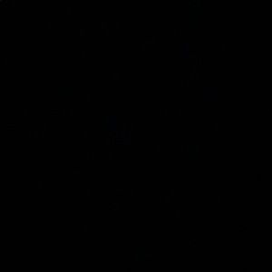 Meet your Posher, Claire